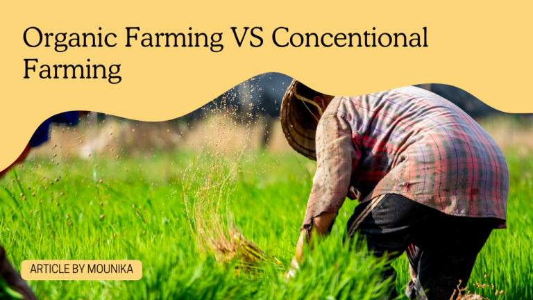 Organic Farming vs Conventional Farming: 5 Powerful Reasons to Choose Organic Today.