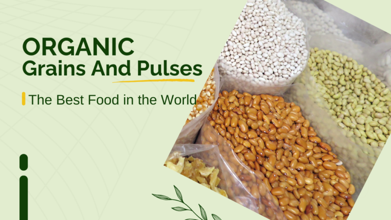 Boost Your Health with 7 Essential Organic Grains and Pulses.