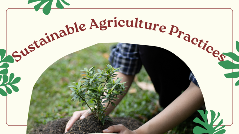 10 Essential Sustainable Agriculture Practices Every Farmer Must Know